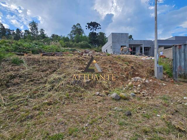 Terreno para Venda em Caxias do Sul - 4