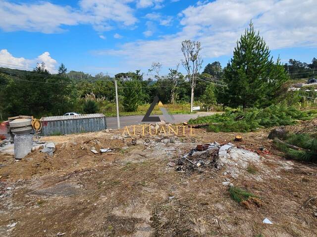 #TR5217 - Área para Venda em Caxias do Sul - RS - 3