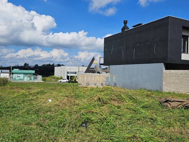 Terreno para Venda em Caxias do Sul - 5