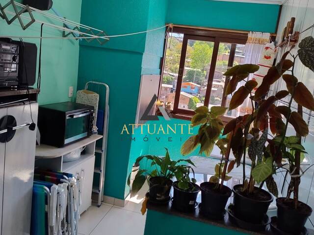 Casa para Venda em Caxias do Sul - 5