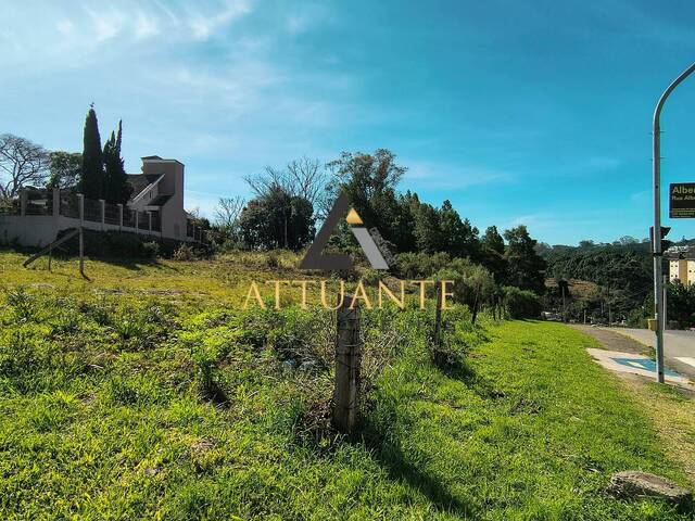 #TR5239 - Área para Venda em Caxias do Sul - RS - 1