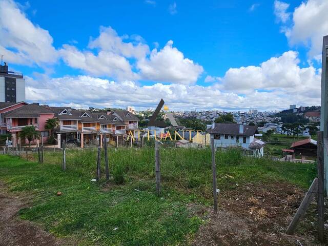 #TR5248 - Área para Venda em Caxias do Sul - RS - 1