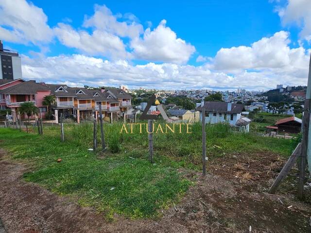 #TR5248 - Área para Venda em Caxias do Sul - RS - 3