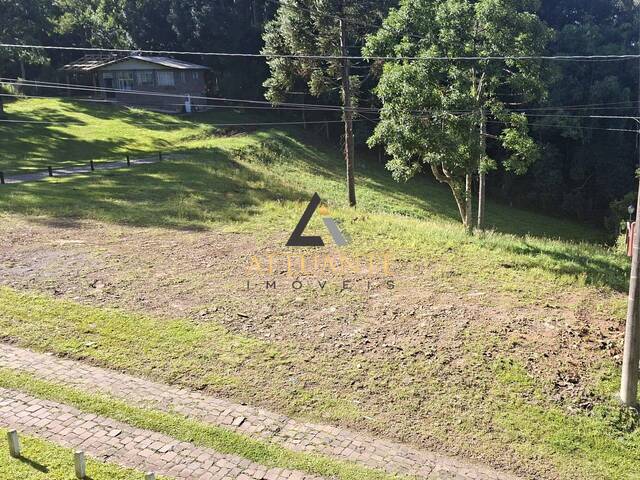 Área para Venda em Caxias do Sul - 2