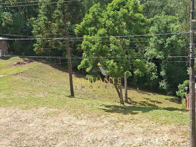 Área para Venda em Caxias do Sul - 3