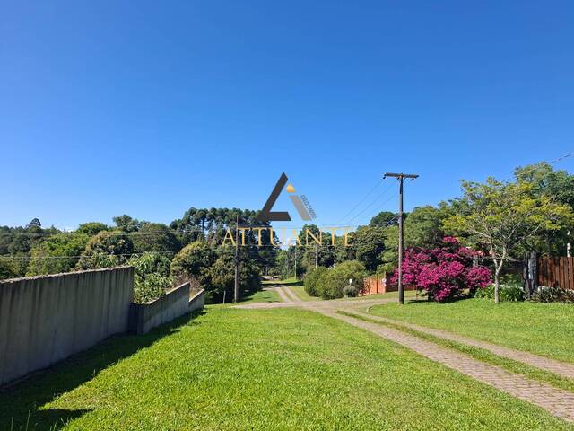 Área para Venda em Caxias do Sul - 4
