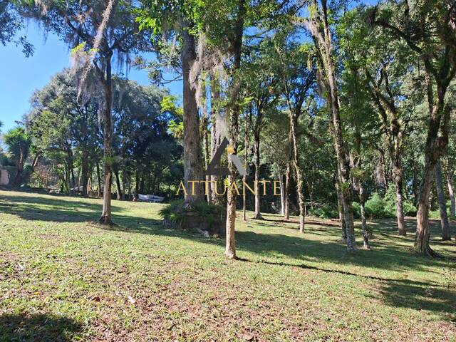 Venda em Pedancino - Caxias do Sul