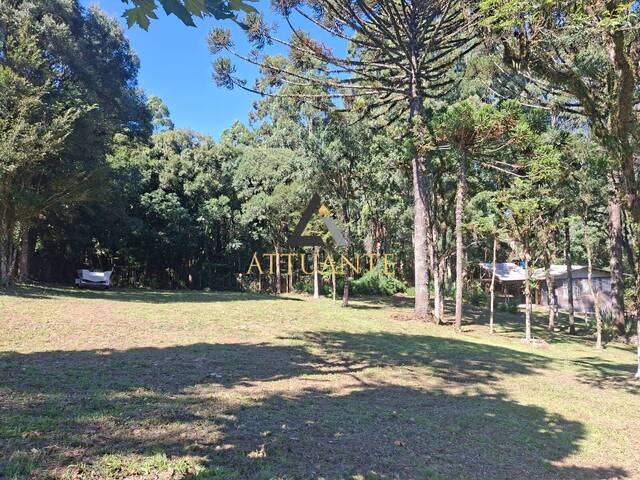 Área para Venda em Caxias do Sul - 2