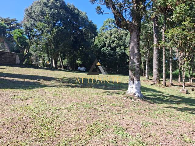 Área para Venda em Caxias do Sul - 4