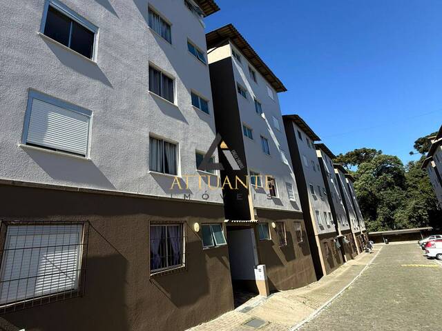 #AP5279 - Apartamento para Venda em Caxias do Sul - RS - 1