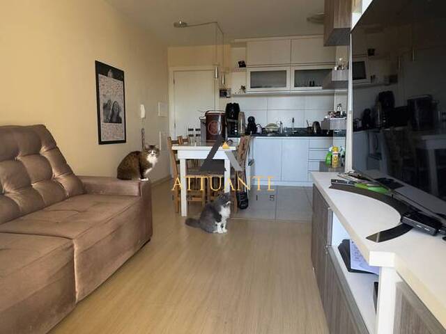 #AP5334 - Apartamento para Venda em Caxias do Sul - RS - 2