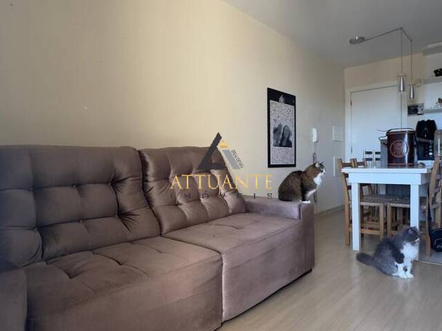 #AP5334 - Apartamento para Venda em Caxias do Sul - RS - 3