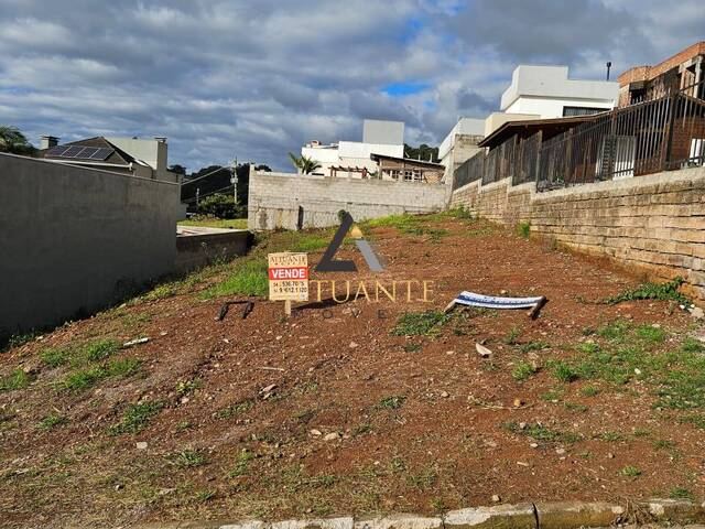 Venda em Monte Berico - Caxias do Sul