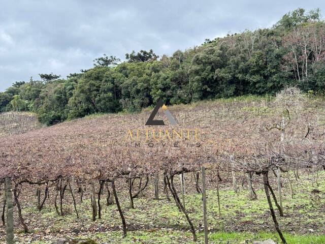 Chácara para Venda em Caxias do Sul - 3