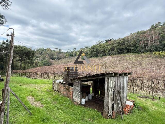 Venda em Vila Oliva - Caxias do Sul