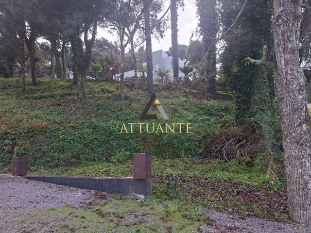 Área para Venda em Caxias do Sul - 2