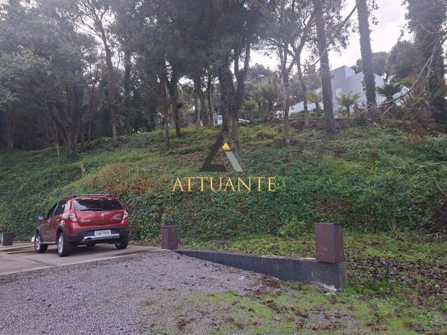 Área para Venda em Caxias do Sul - 4