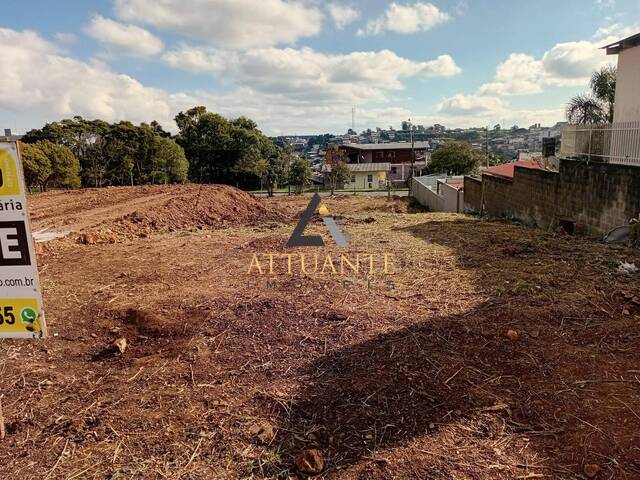 Terreno para Venda em Caxias do Sul - 2