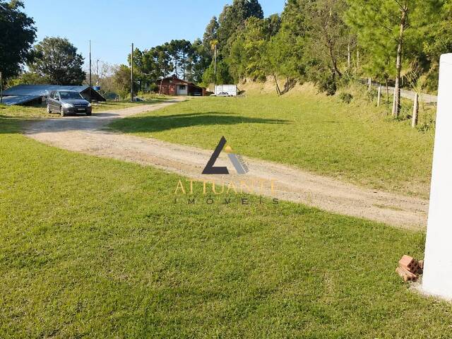 Chácara para Venda em Caxias do Sul - 4