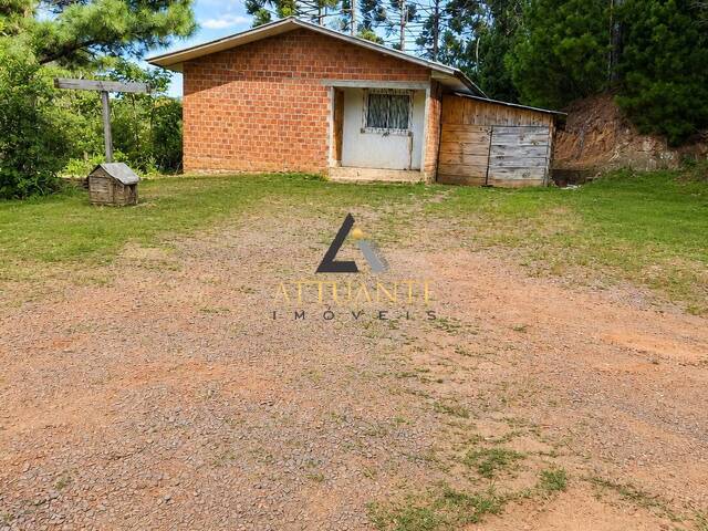 Chácara para Venda em Caxias do Sul - 5