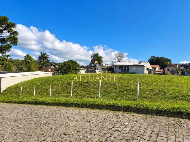 Terreno para Venda em Caxias do Sul - 2