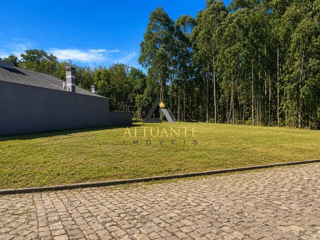 Terreno para Venda em Caxias do Sul - 2