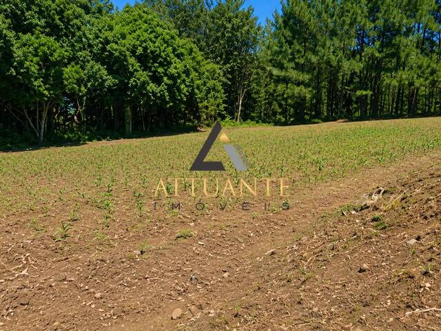Terreno para Venda em Caxias do Sul - 5