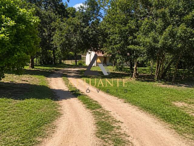 Terreno para Venda em Caxias do Sul - 4
