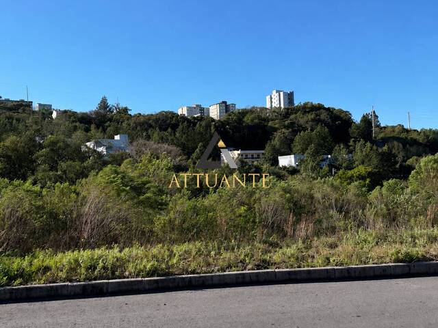 Terreno para Venda em Caxias do Sul - 5