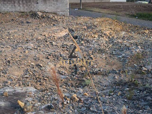 #TR5523 - Terreno para Venda em Caxias do Sul - RS - 3