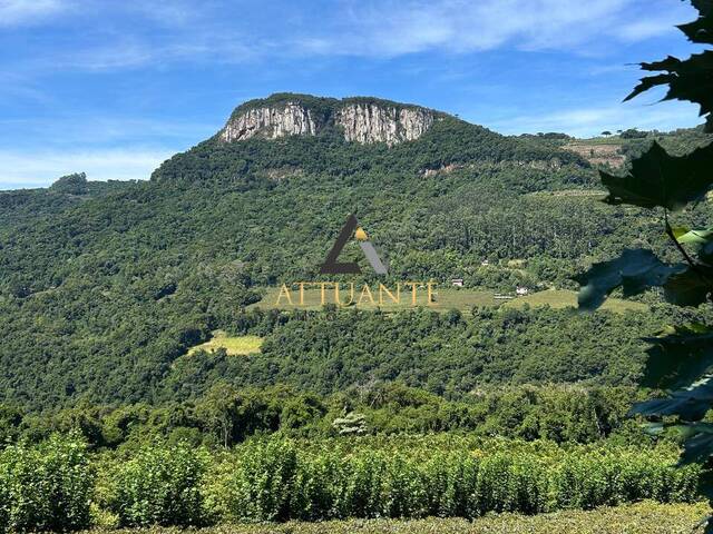 Chácara para Venda em Caxias do Sul - 4