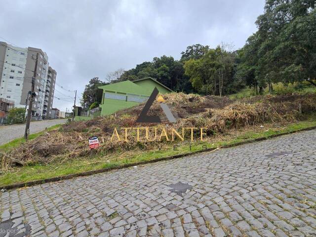 #TR5530 - Terreno para Venda em Caxias do Sul - RS - 3