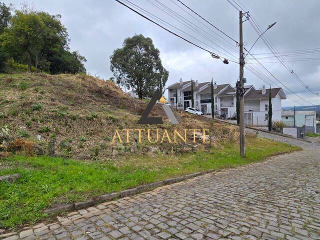 Terreno para Venda em Caxias do Sul - 4