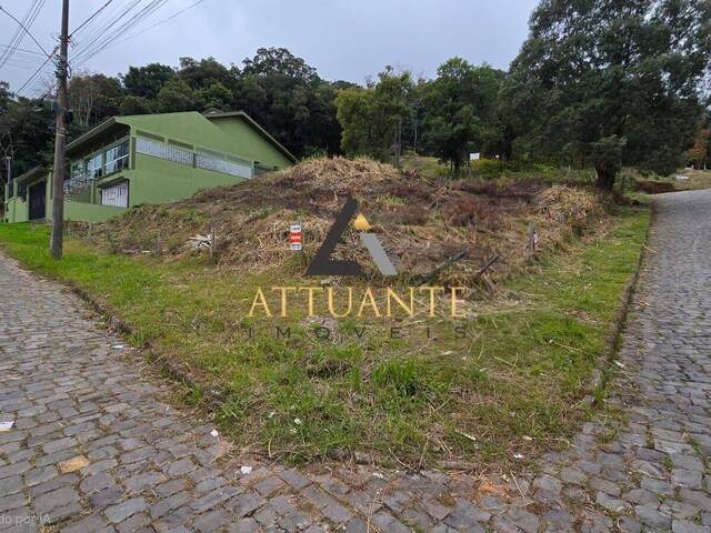 #TR5530 - Terreno para Venda em Caxias do Sul - RS - 1