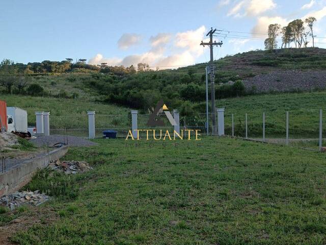 Terreno para Venda em Caxias do Sul - 5