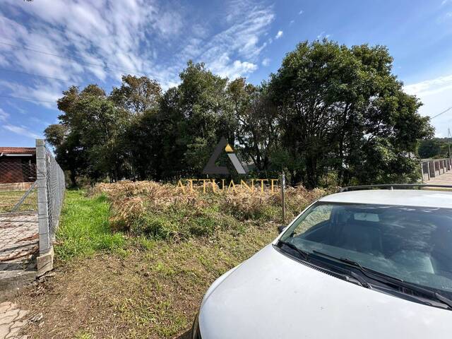 #5550 - Terreno para Venda em Caxias do Sul - RS - 3