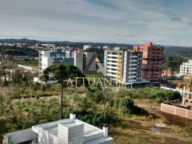 Apartamento para Venda em Caxias do Sul - 3