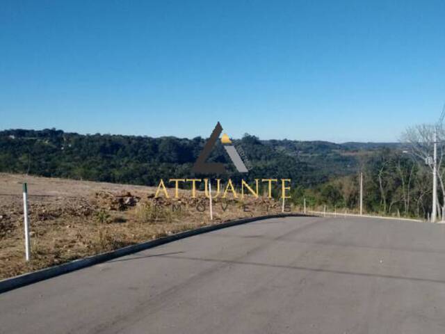 Terreno para Venda em Caxias do Sul - 3
