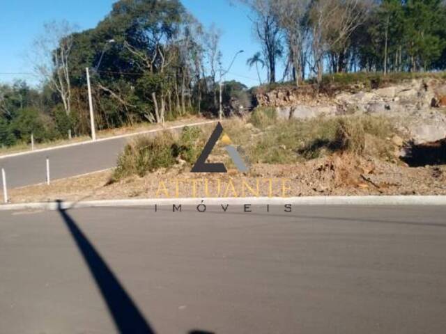 Terreno para Venda em Caxias do Sul - 5