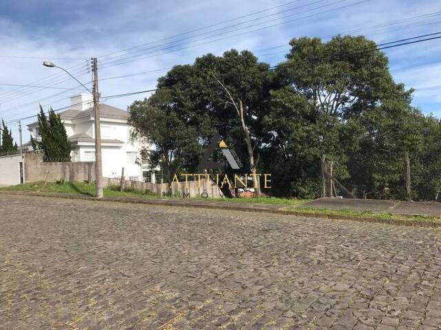 #TR0331 - Área para Venda em Caxias do Sul - RS - 3