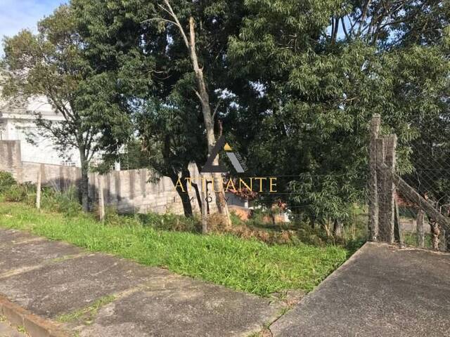 Área para Venda em Caxias do Sul - 4