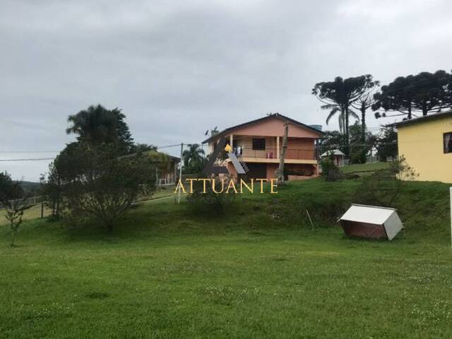 Chácara para Venda em Caxias do Sul - 3