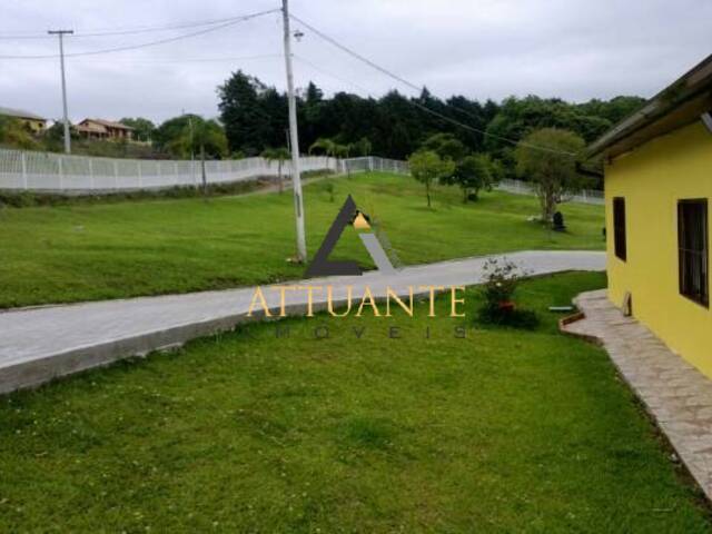 Chácara para Venda em Caxias do Sul - 4