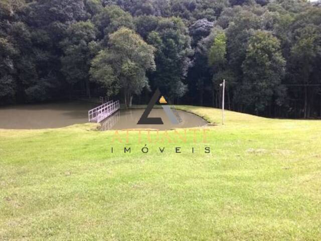 Chácara para Venda em Caxias do Sul - 5