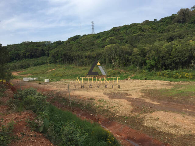 #TR4921 - Terreno para Venda em Caxias do Sul - RS - 3